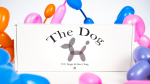 (image for) The Dog by TCC Magic & Harry Yang