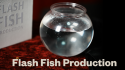 (image for) Flash Fish Production by LT Magic