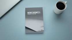 (image for) Monochrome by Luca Volpe