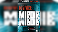 (image for) The Mirror (Red) by Dominique Duvivier