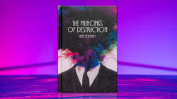 (image for) Principles of Destruction by Ben Seidman