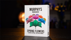 (image for) SPRING FLOWERS (2 PK PAPER) by Murphy's Magic