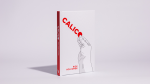 (image for) Calico by Rick Holcombe
