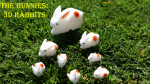 The Bunnies! 3D Rabbits (Parents, Kids & Grandpa) (image for) The Bunnies! 3D Rabbits (Parents, Kids & Grandpa)