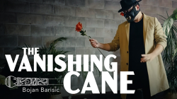 (image for) Vanishing Cane (Stage) by Bojan Barisic and Stage Elegance