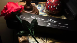 (image for) Reborn Rose by JL Magic