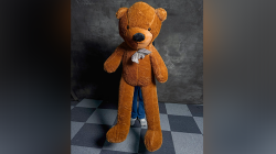 (image for) Teddy Bear Appearance (Large) by MS Magic