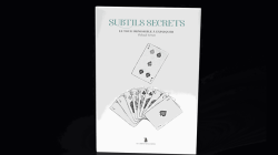 (image for) Subtle Secrets 2 by Thibault Ternon