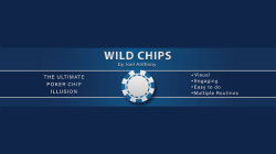 (image for) Wild Chips by Joel Anthony