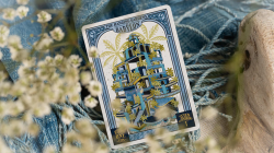 (image for) The Hanging Gardens of Babylon (Special Edition Numbered Seals) Playing Cards by Room One EON