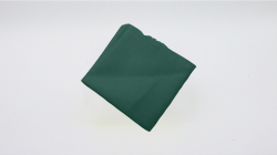 (image for) Silk 9 inch Single (Dark Green) Magic by Gosh