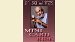 (image for) Mini Card Rise by Martin Schwartz
