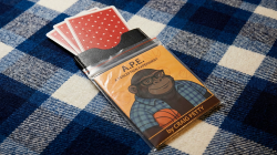 (image for) A.P.E.- A Perception Experiment by Craig Petty