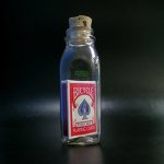 (image for) Anything Is Possible Bottle (Red Back Bicycle) by Jamie D. Grant - Trick