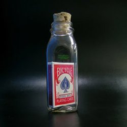 (image for) Anything Is Possible Bottle (Red Back Bicycle) by Jamie D. Grant - Trick
