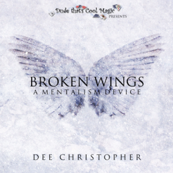 (image for) Broken Wing by Dee Christopher - Trick