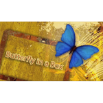 (image for) Butterfly In a Box by Mark Presley - Trick