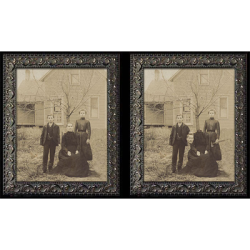 (image for) Changing Portrait - Midwestern Matricide (8x10) by Eddie Allen - Trick
