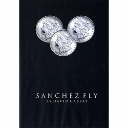 (image for) Sanchez Fly by David Gabbay - video - DOWNLOAD