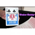 (image for) Window Watcher by Aaron Plener - Video DOWNLOAD