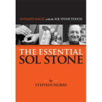 (image for) The Essential Sol Stone by Stephen Hobbs