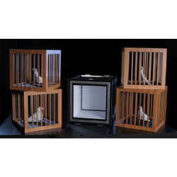 (image for) Everything to 4 Dove Cages by Tora Magic