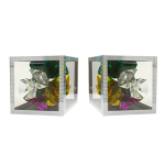 (image for) Flower Crystals From Frame (Two) by Tora - Trick