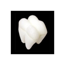 (image for) Foam Tooth 2" (White) by Goshman - Trick