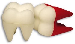 (image for) Foam Tooth 4 1/2" Goshman (White)