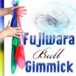 (image for) Fujiwara Ball Gimmick (w/DVD, Bigger Size, up to three 18 inch silks) by Fujiwara - Trick