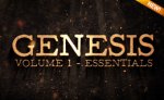 (image for) GENESIS v1 by Andrei Jikh & theory11