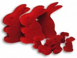 (image for) Hare Raising Experience from Magic by Gosh