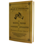 (image for) Hellis In Wonderland by Will Houstoun - Book