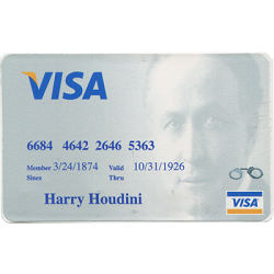 (image for) Houdini Credit Card Style Lock Pick Took Kit - Trick