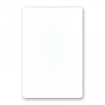 (image for) Jumbo Bicycle Card (Blank Face, RED Back) - Trick