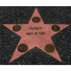 (image for) Celebrity Walk of Fame by Jonathan Royle - Video/Book DOWNLOAD