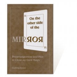 (image for) On the Other Side of the Mirror by Cushing Strout - Book