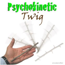 (image for) Cesaral Psychokinetic Twig by Cesar Alonso (Cesaral Magic) - Trick