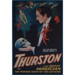 (image for) Thurston (Spirits Come Back 2) Poster - Trick