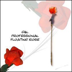 (image for) Pro Floating Rose by G&L - Trick