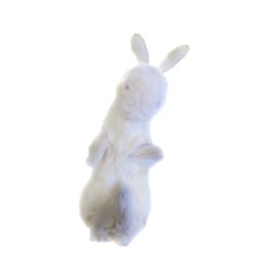(image for) Spring Rabbit with 4 Legs by Magic Masters - Trick