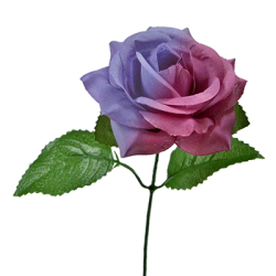 (image for) The Real Color Changing Flower by JL Magic - Trick