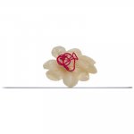 (image for) Needle Through Balloon by Royal Magic - Trick
