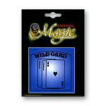 (image for) Wild Card Royal by Fun Inc - Trick