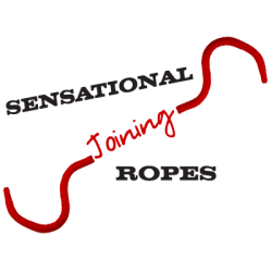 (image for) Sensational Joining Rope - by Di Fatta - Trick