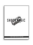 (image for) Shock Magic by Andrew Mayne - Book