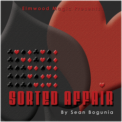 (image for) Sorted Affair by Sean Bogunia