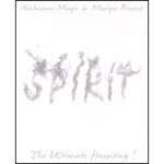 (image for) Spirit (Blue) by Mozique and Alakazam - Trick