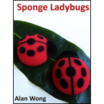 (image for) Sponge Lady Bugs by Alan Wong - Trick