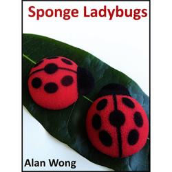 (image for) Sponge Lady Bugs by Alan Wong - Trick